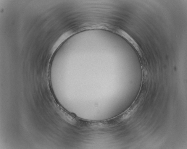 X0000076391002200610271548