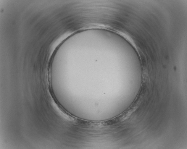 X0000076391003200610271548