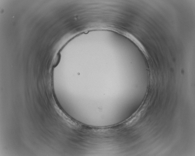 X0000076391004200610271548