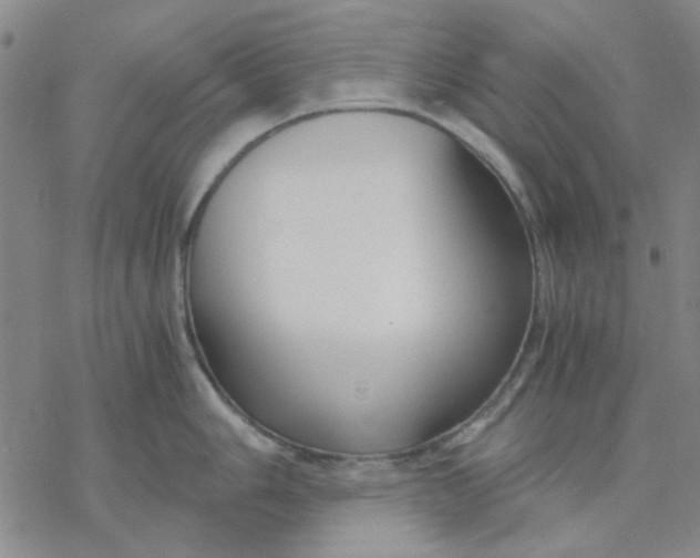 X0000076391006200610271548