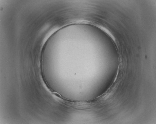 X0000076391007200610271548