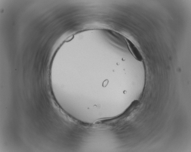 X0000076391008200610271548