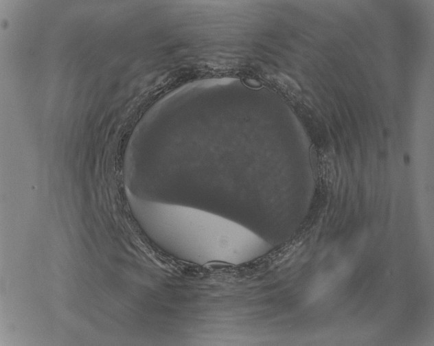 X0000076391009200610271547