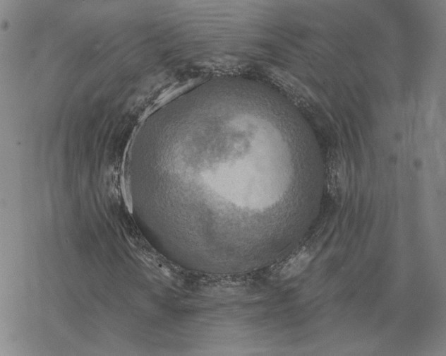 X0000076391010200610271547