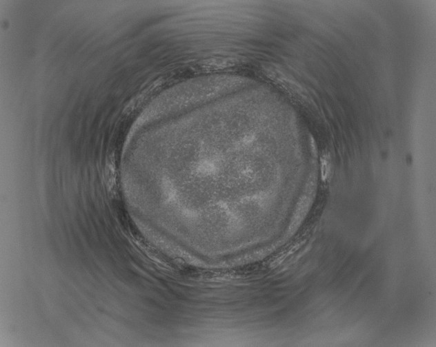 X0000076391011200610271547