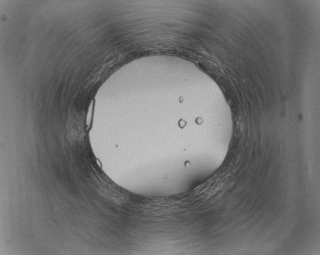 X0000076391012200610271547