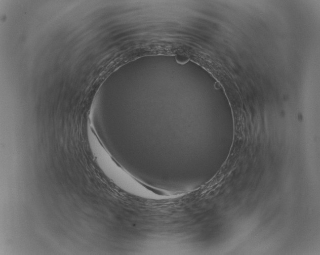 X0000076391013200610271547