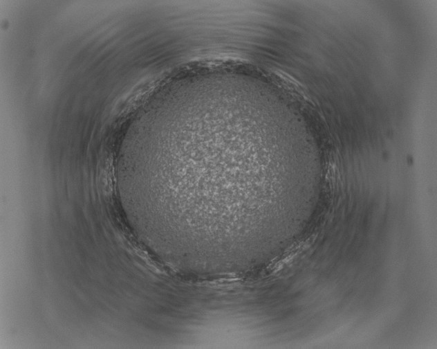 X0000076391014200610271547