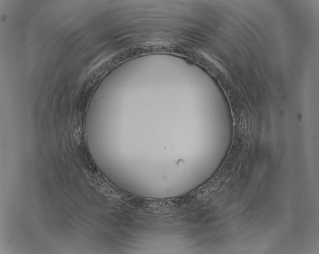 X0000076391015200610271547