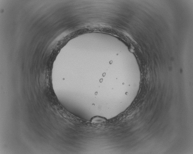 X0000076391016200610271547