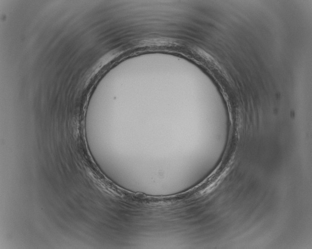 X0000076391017200610271547