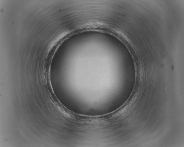 X0000076391018200610271547