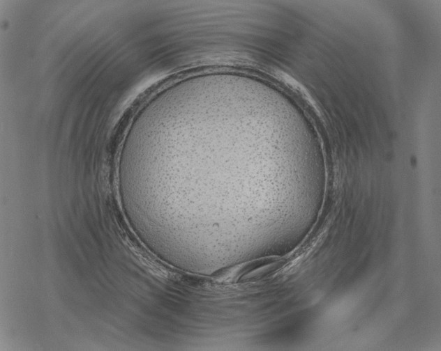 X0000076391019200610271547