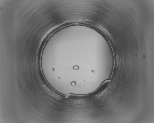 X0000076391020200610271547