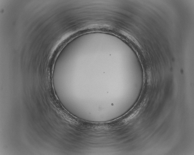 X0000076391021200610271547