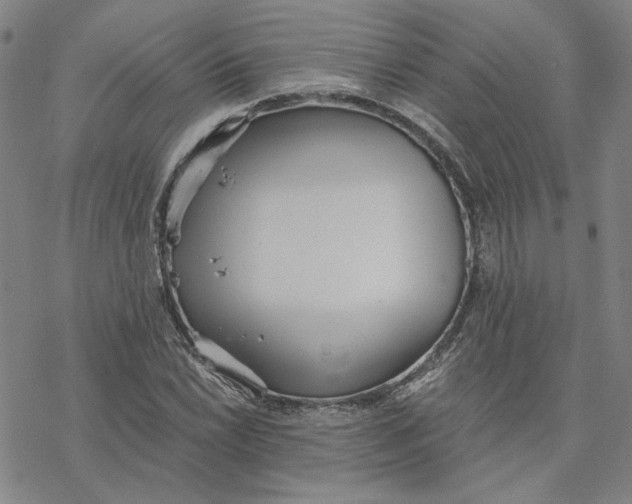 X0000076391022200610271547