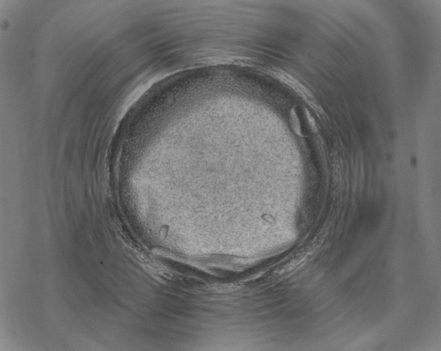 X0000076391023200610271547