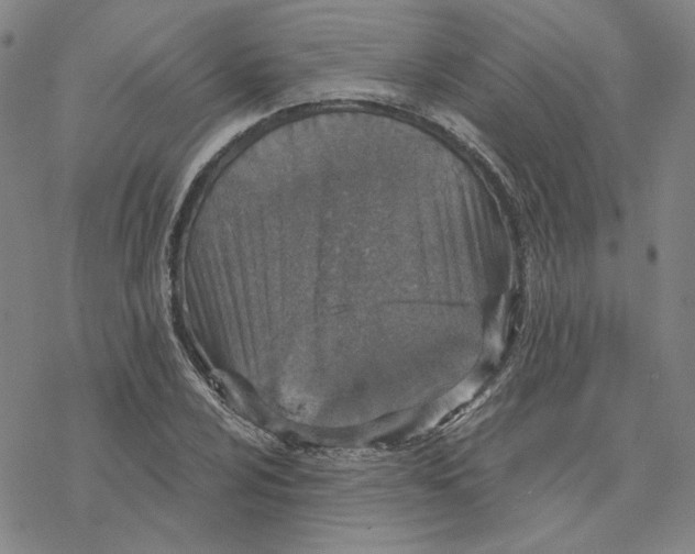 X0000076391024200610271548