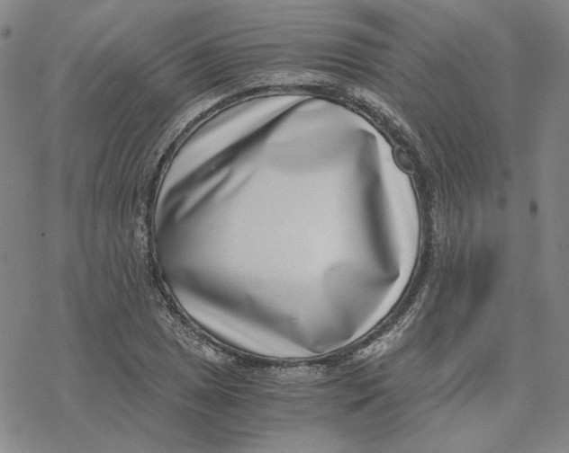 X0000076391025200610271548