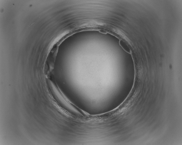 X0000076391026200610271548