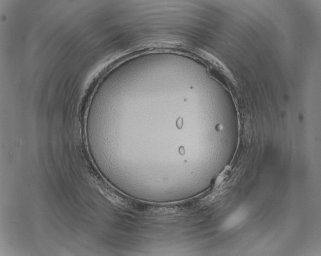 X0000076391027200610271548