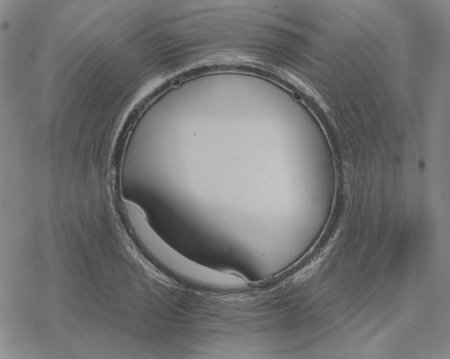 X0000076391029200610271548