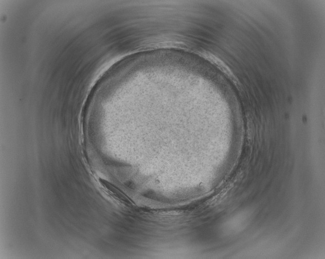 X0000076391031200610271548