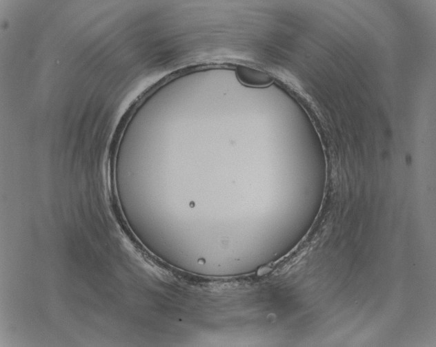 X0000076391032200610271548