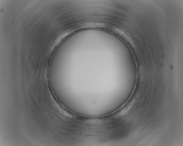 X0000076391033200610271548