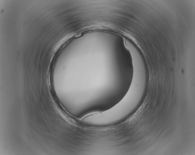 X0000076391034200610271548