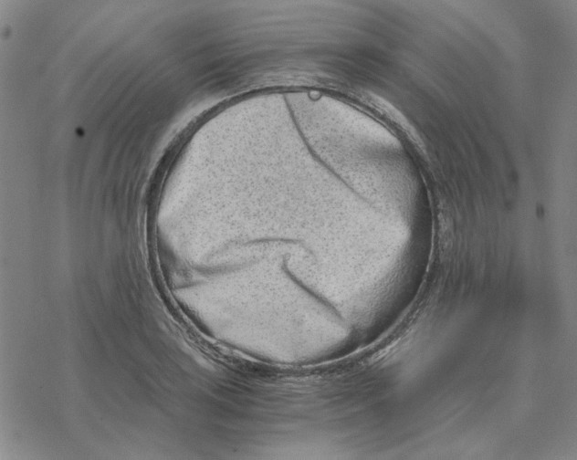 X0000076391035200610271548