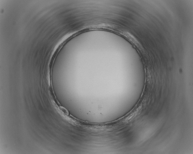 X0000076391036200610271548