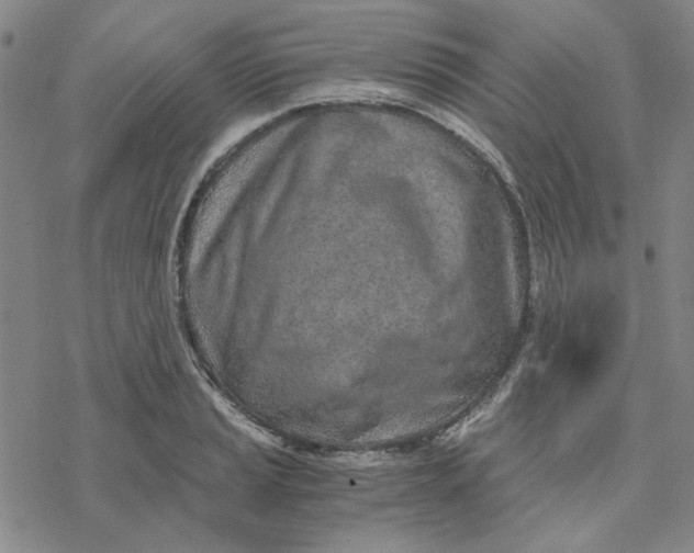 X0000076391037200610271548