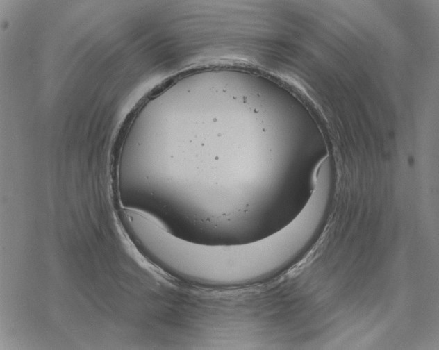 X0000076391038200610271548