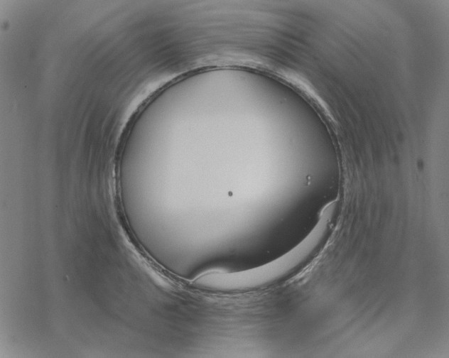 X0000076391040200610271548