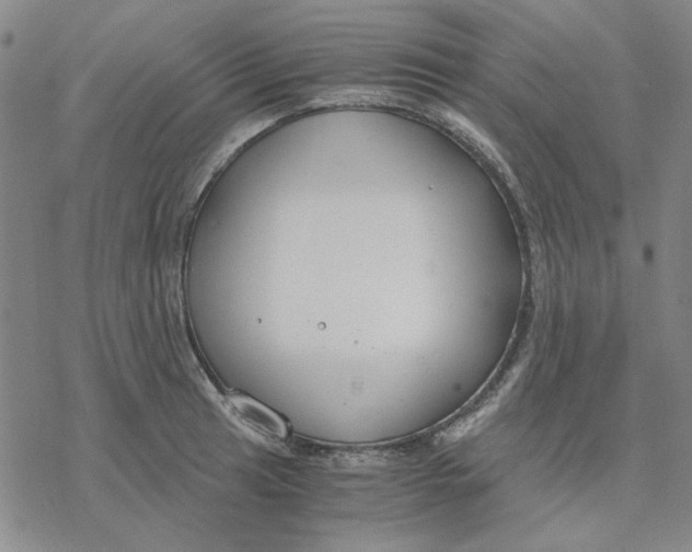 X0000076391041200610271548