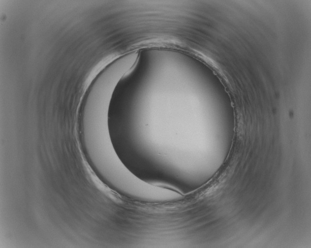 X0000076391042200610271548