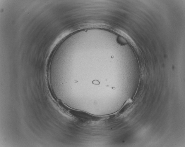 X0000076391043200610271548