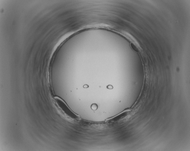 X0000076391044200610271548