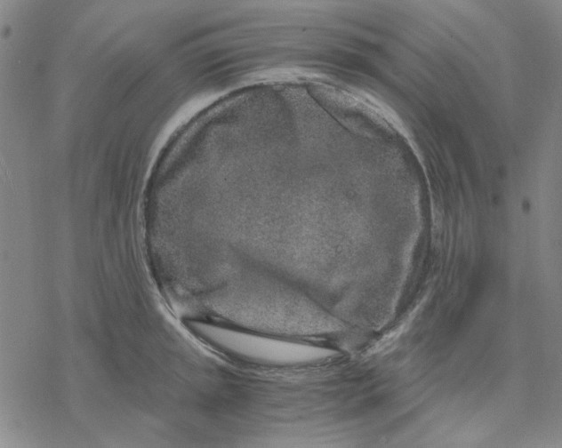 X0000076391045200610271548