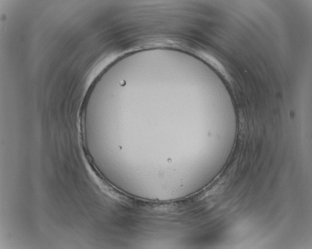 X0000076391047200610271548