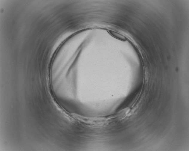 X0000076391048200610271548