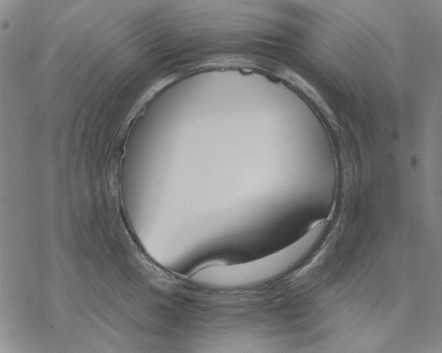 X0000076391049200610271548