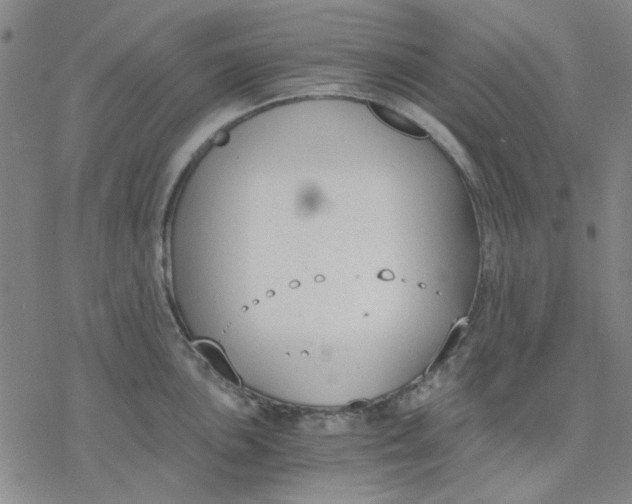 X0000076391051200610271548