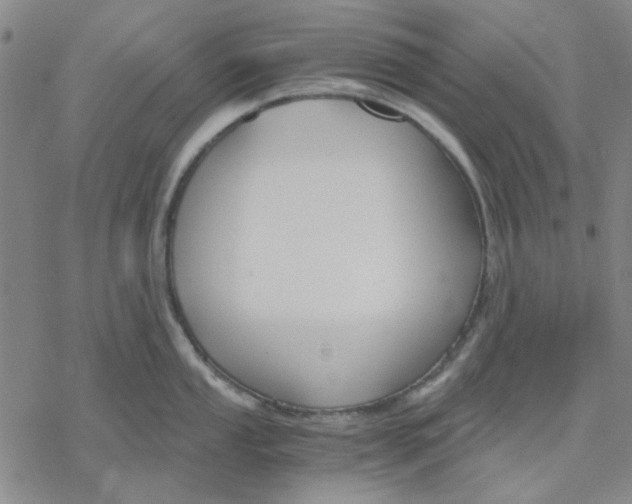 X0000076391053200610271548