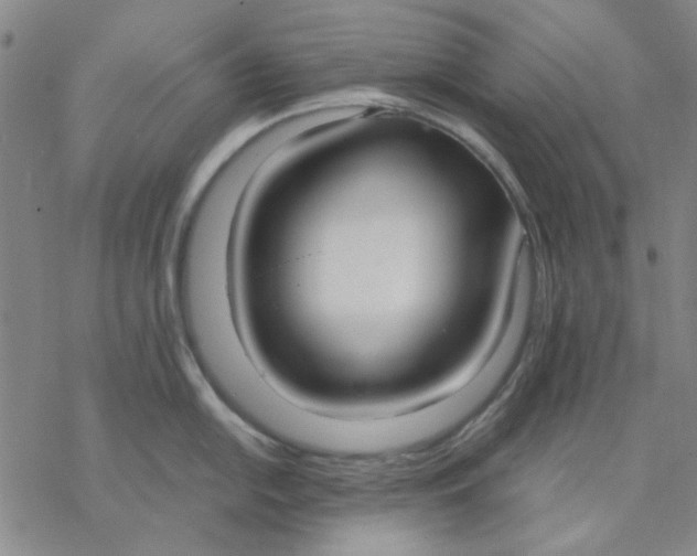 X0000076391054200610271548