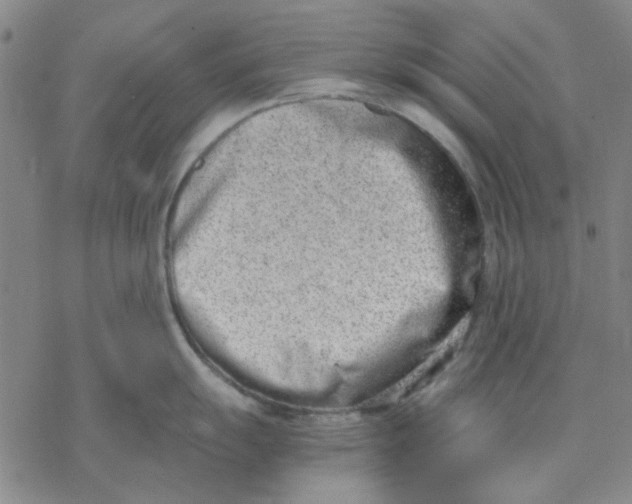 X0000076391055200610271548