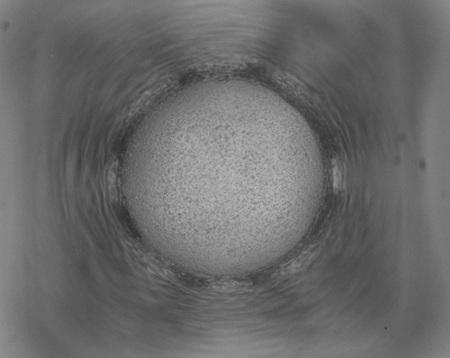 X0000076391059200610271547