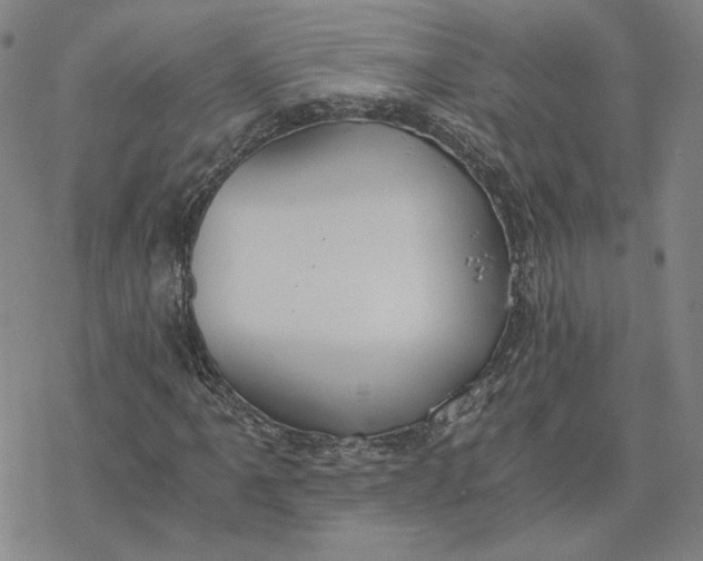 X0000076391061200610271547