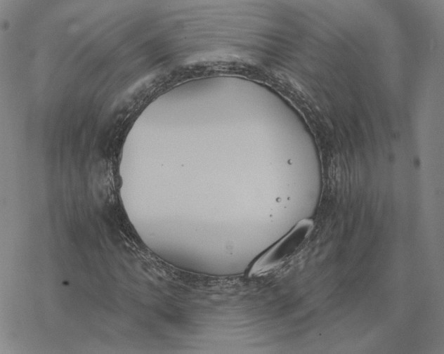 X0000076391062200610271547